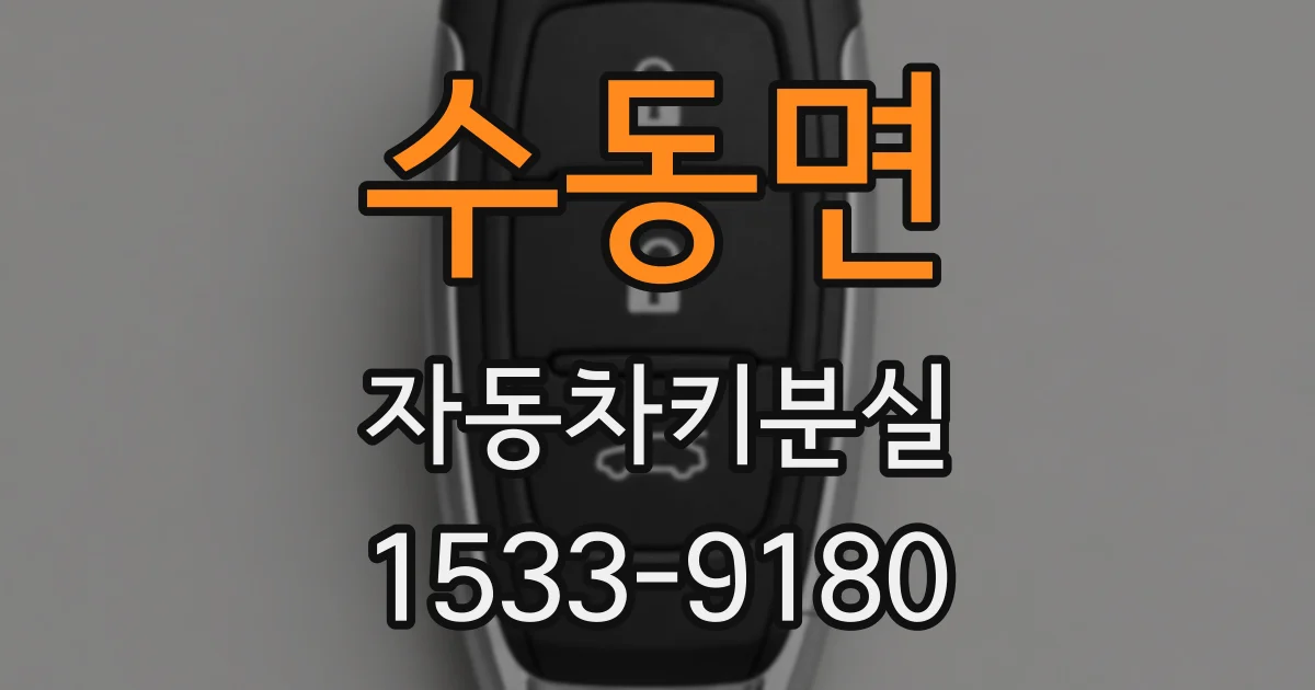 수동면 자동차키분실