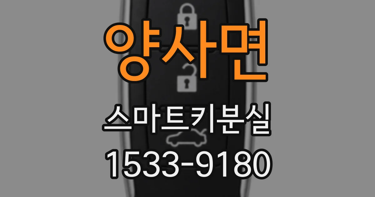 양사면 스마트키분실