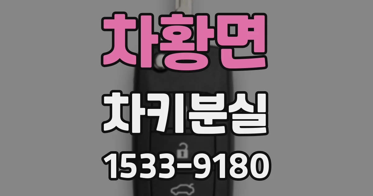 차황면 차키분실