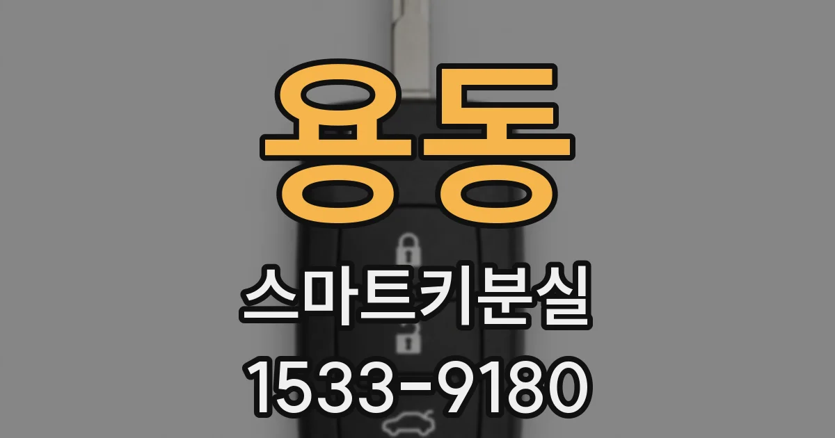 용동 스마트키분실
