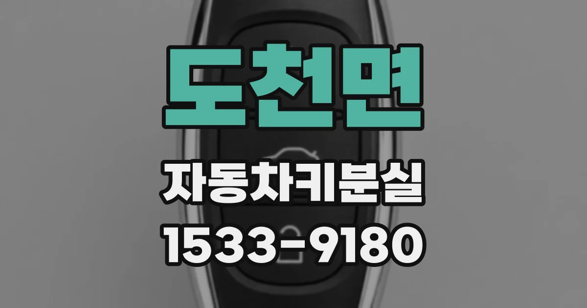 도천면 자동차키분실