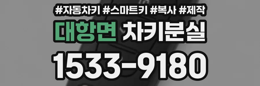 대항면 차키분실