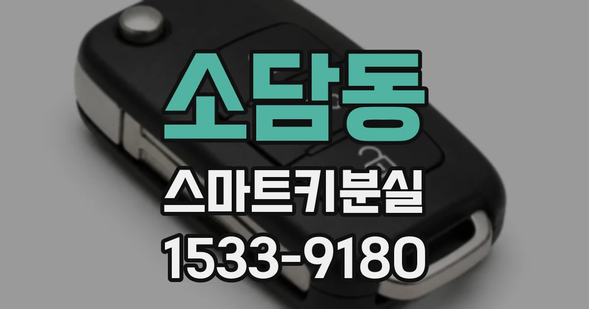 소담동 스마트키분실