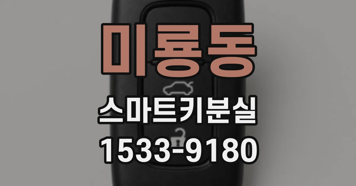 미룡동 스마트키분실