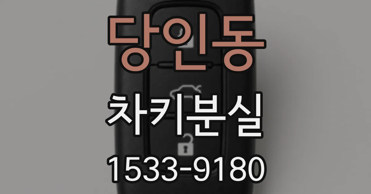 당인동 차키분실