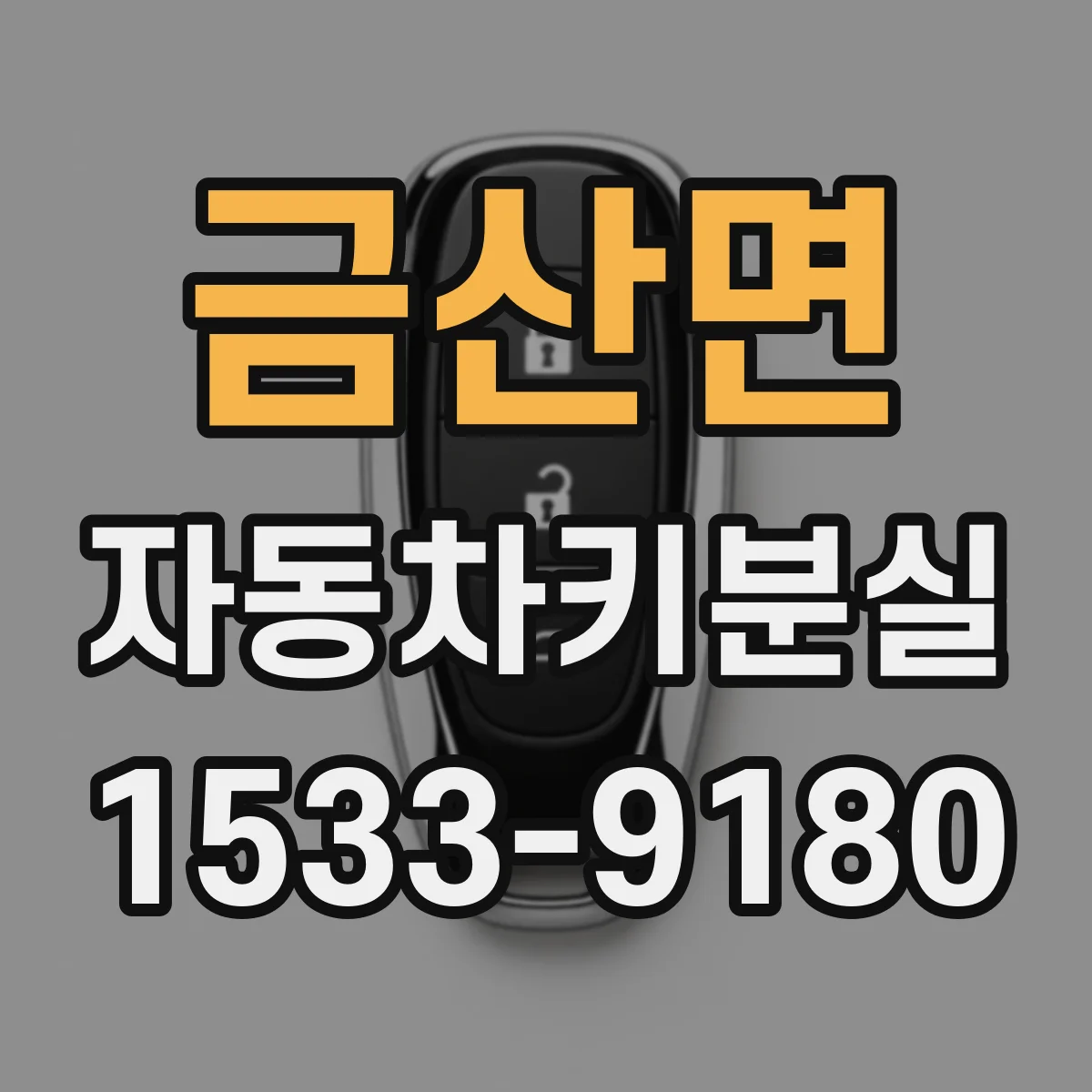 금산면 자동차키분실