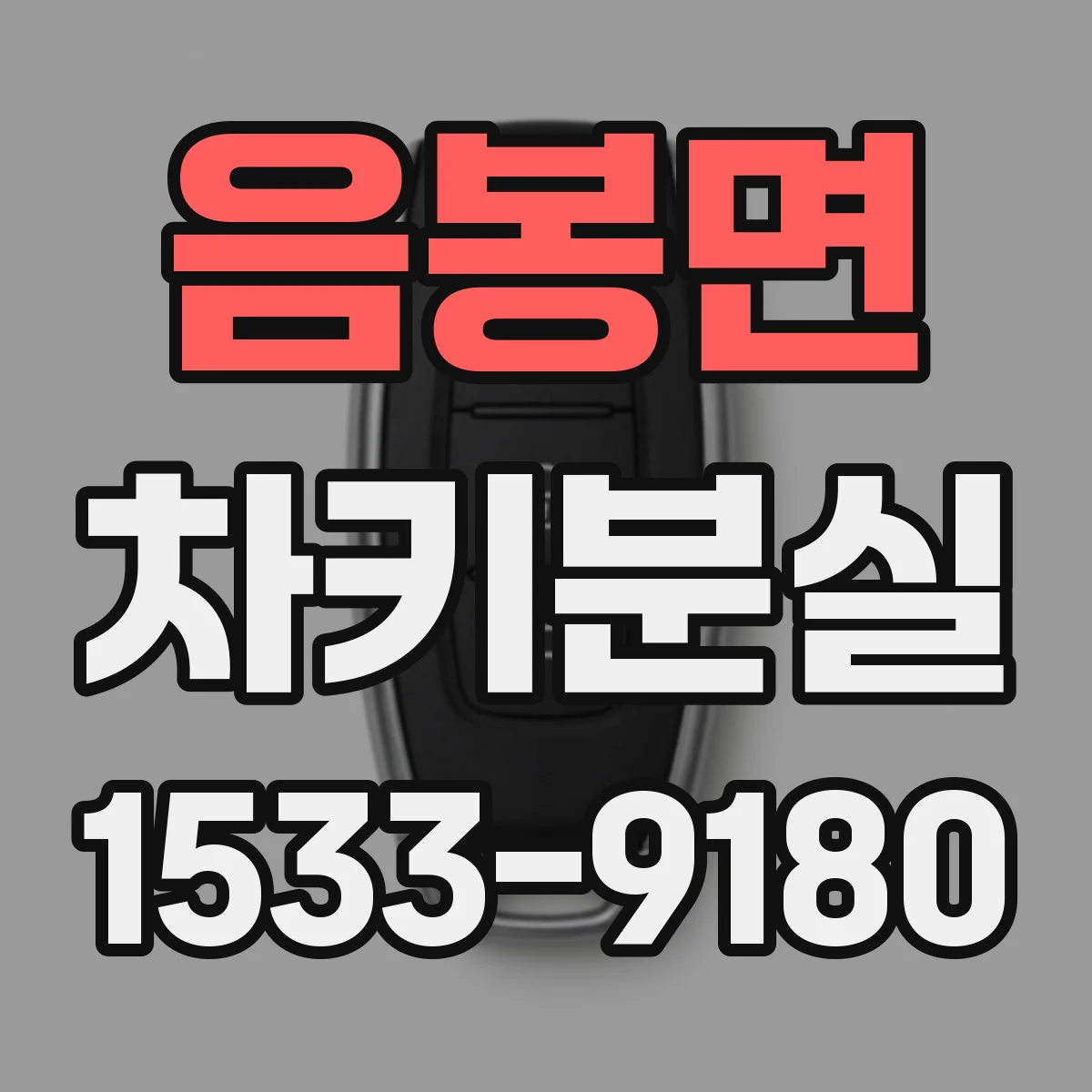 음봉면 차키분실