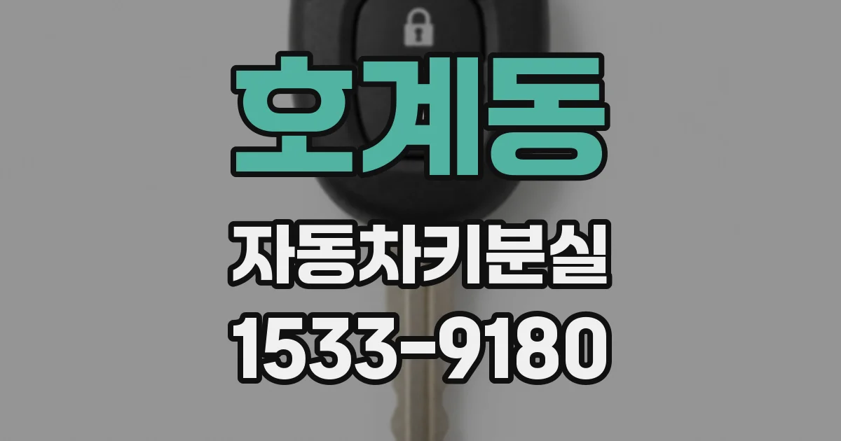 호계동 자동차키분실