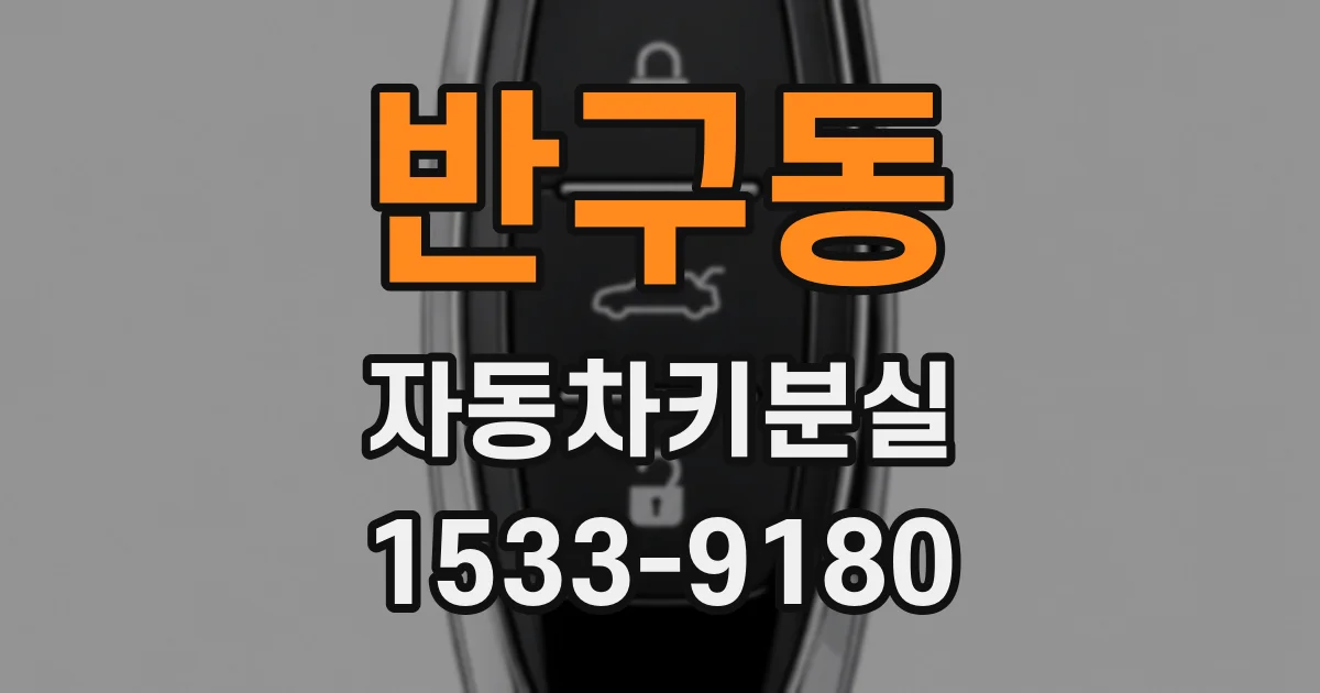 반구동 자동차키분실