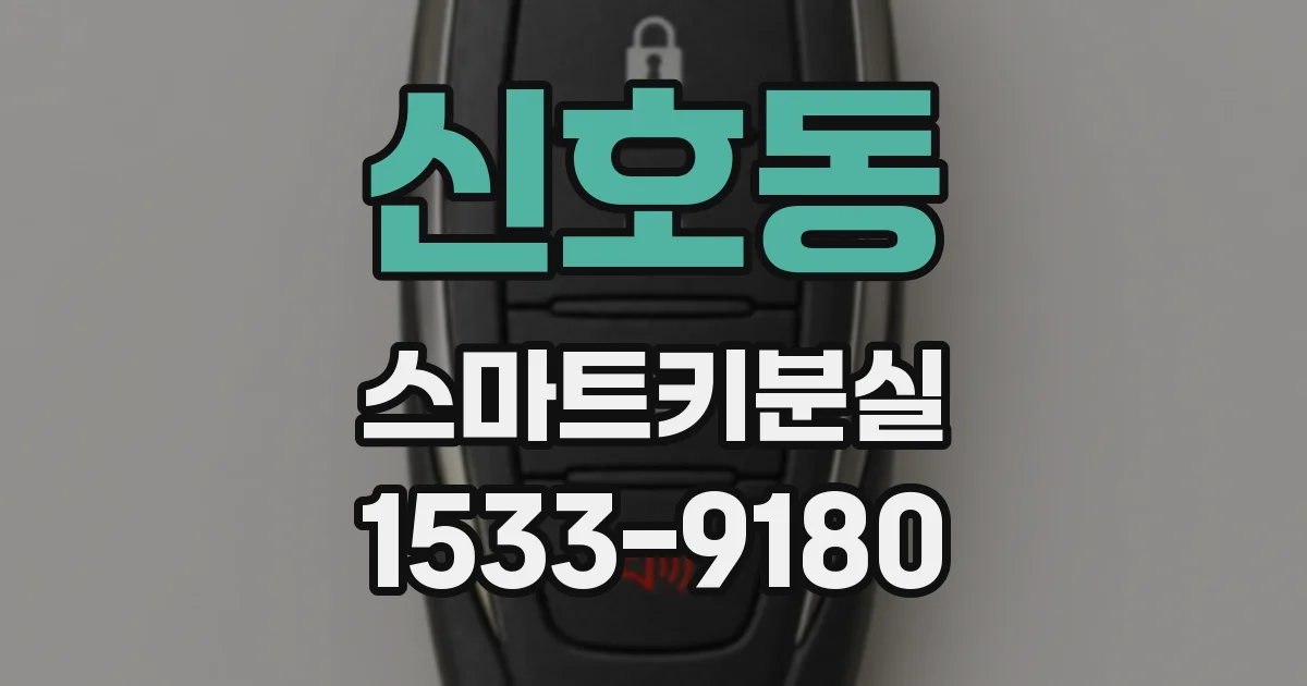 신호동 스마트키분실