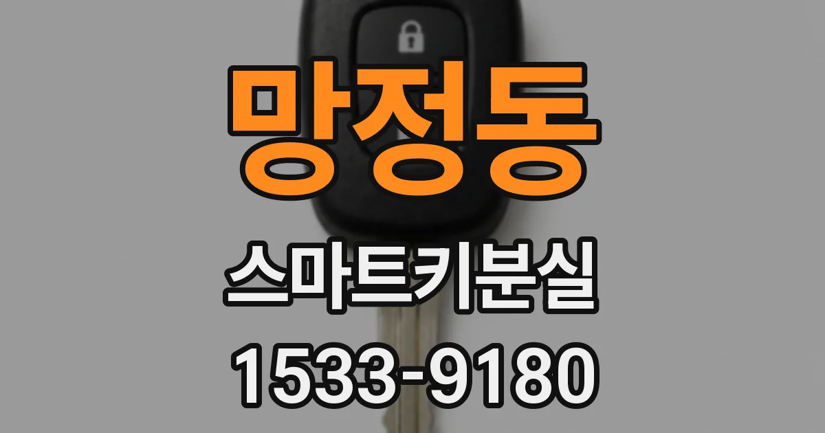 망정동 스마트키분실