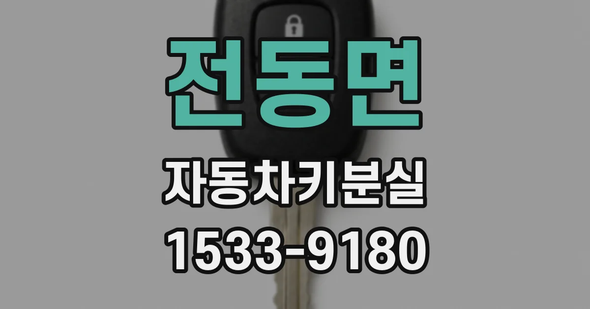 전동면 자동차키분실
