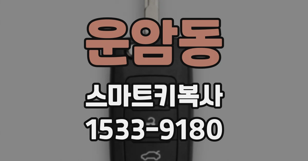 운암동 스마트키복사