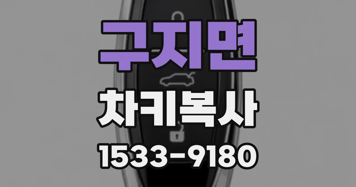 구지면 차키복사