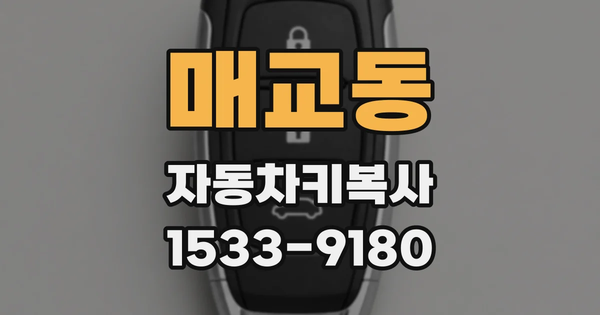 매교동 자동차키복사
