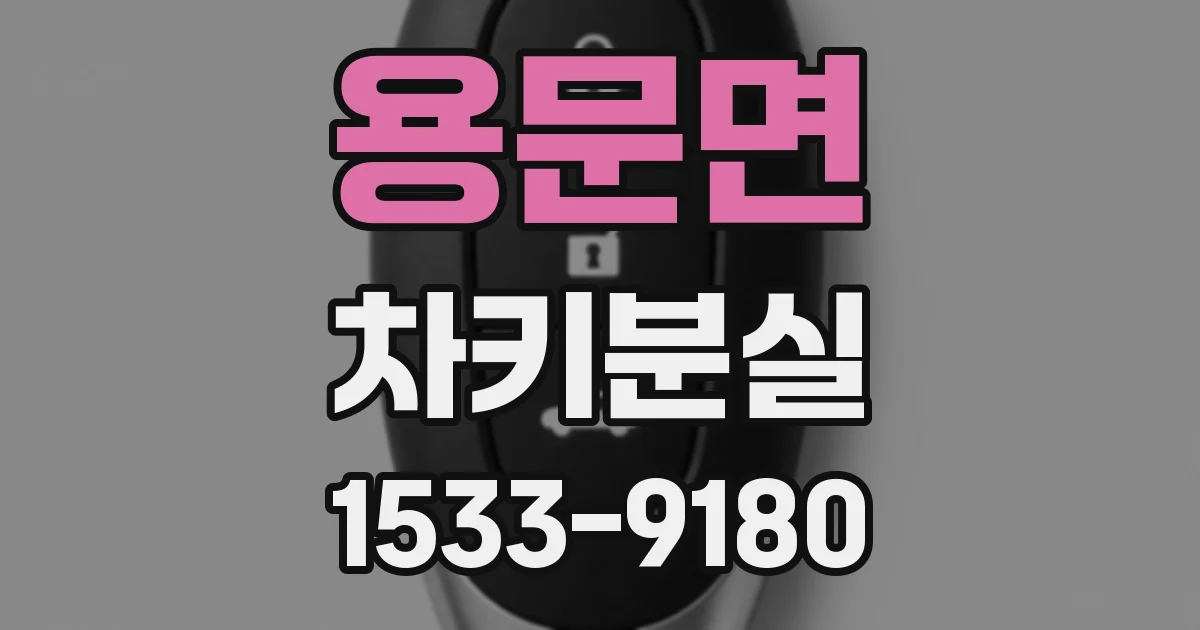 용문면 차키분실