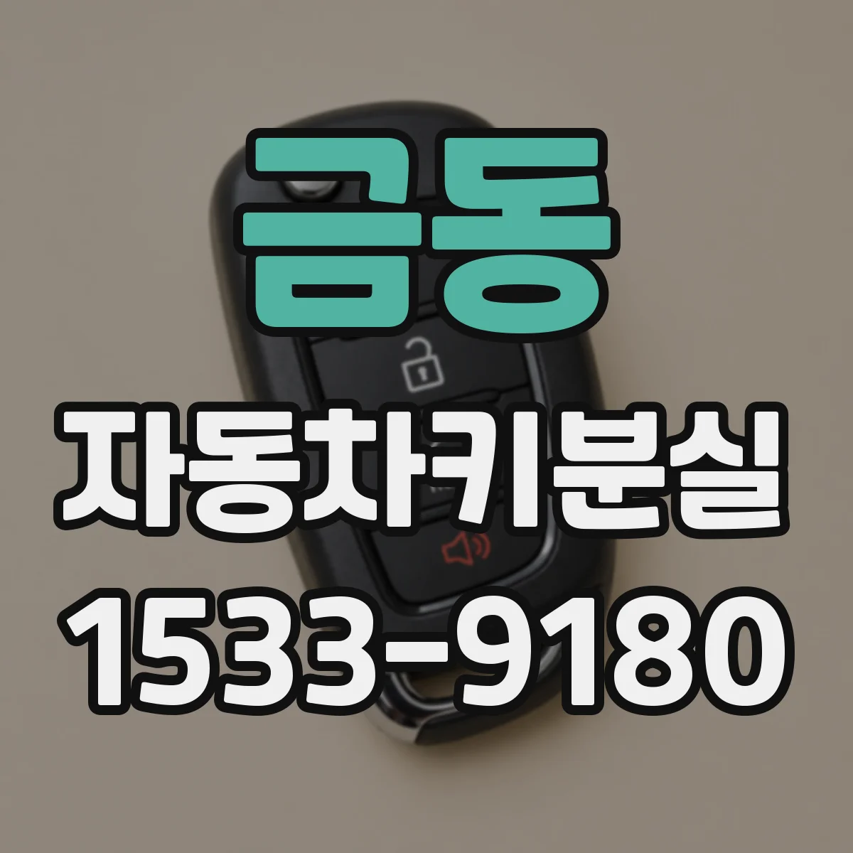 금동 자동차키분실