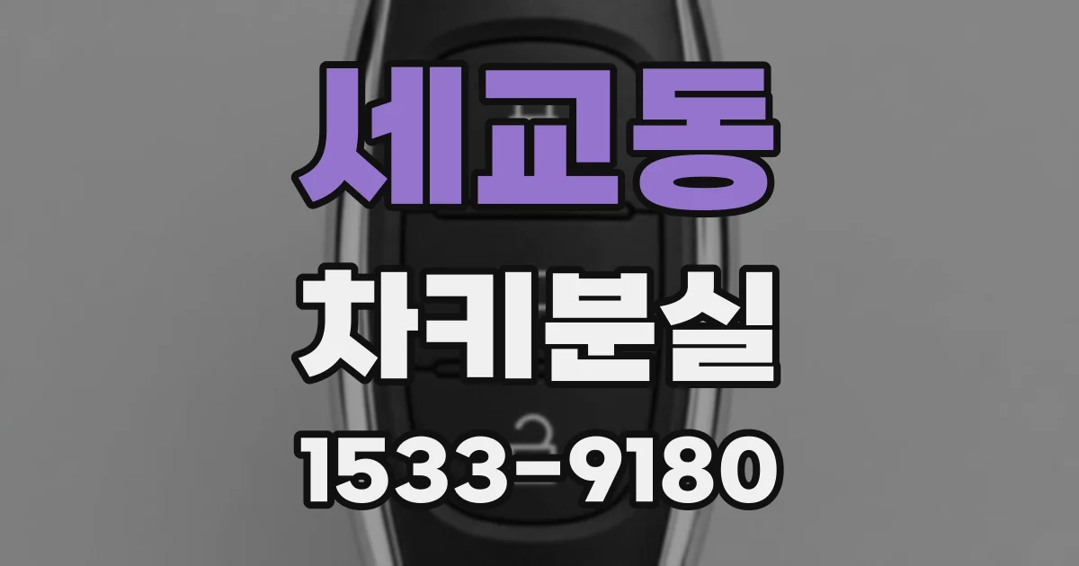 세교동 차키분실