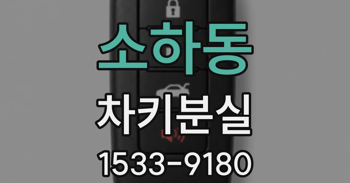 소하동 차키분실