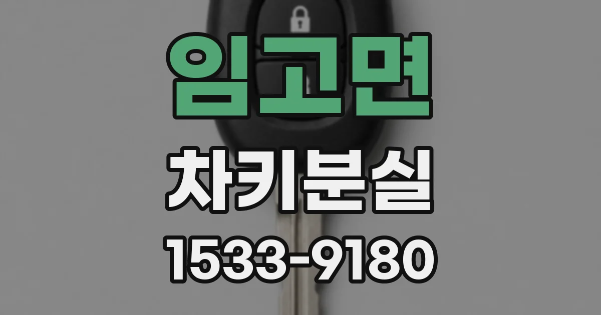임고면 차키분실