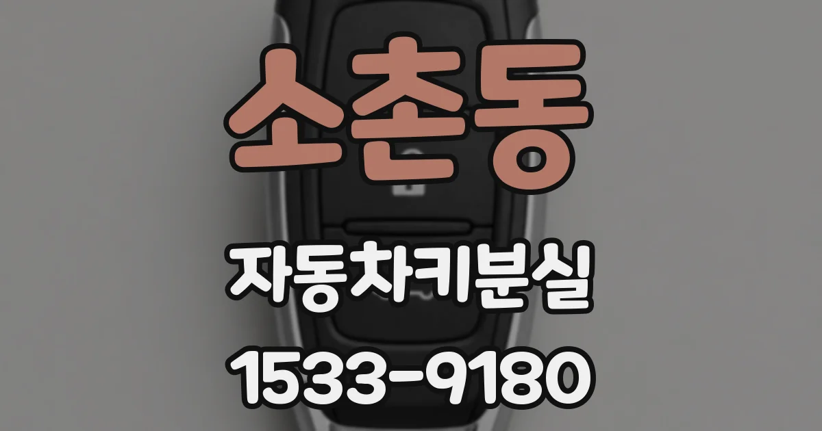 소촌동 자동차키분실