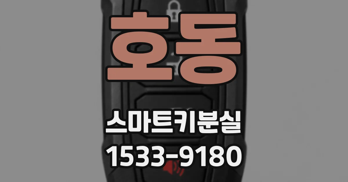 호동 스마트키분실
