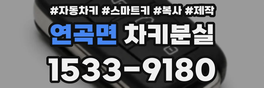 연곡면 차키분실