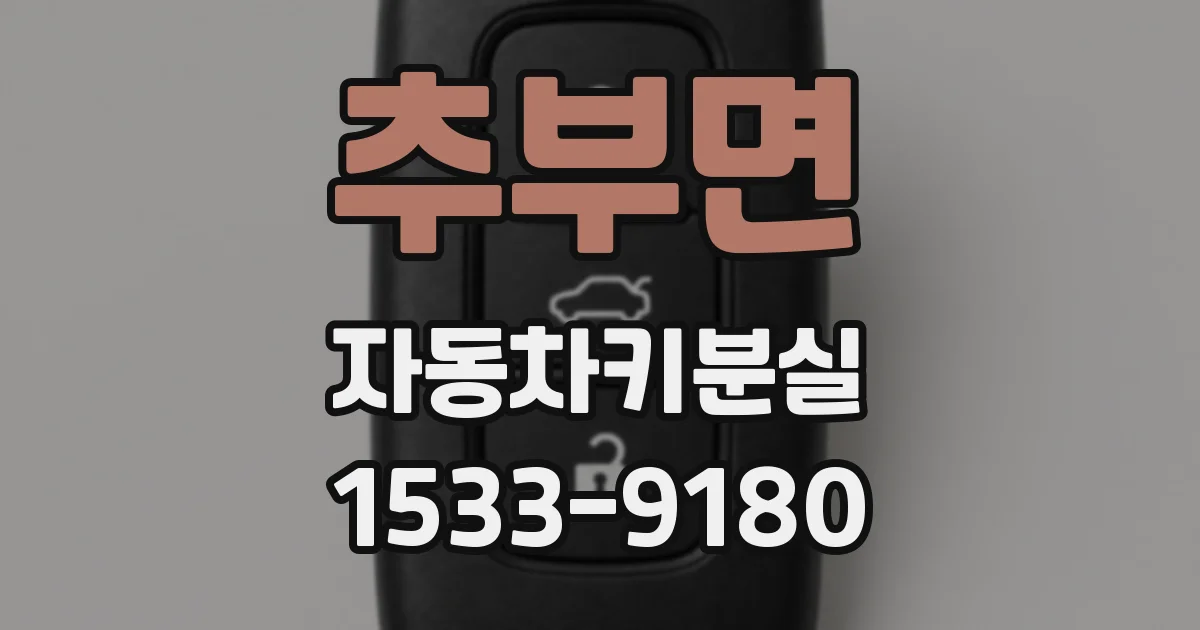 추부면 자동차키분실