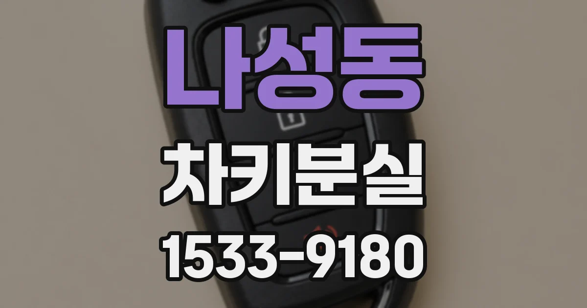 나성동 차키분실