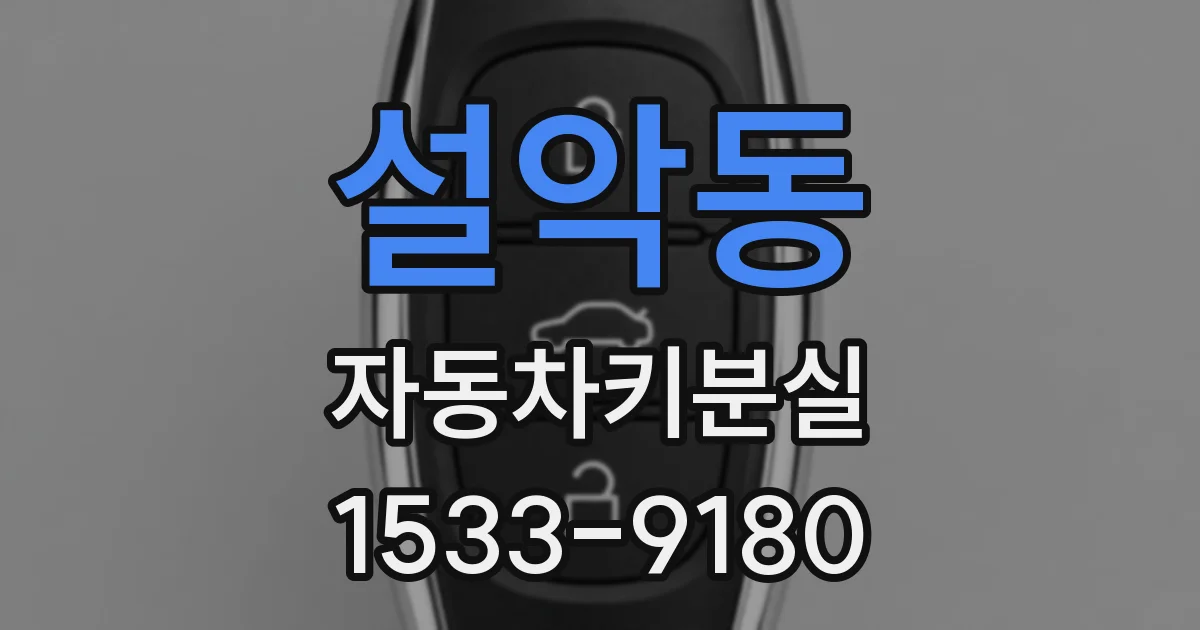 설악동 자동차키분실