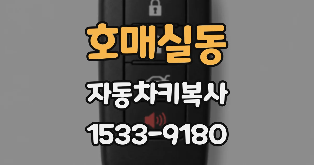 호매실동 자동차키복사