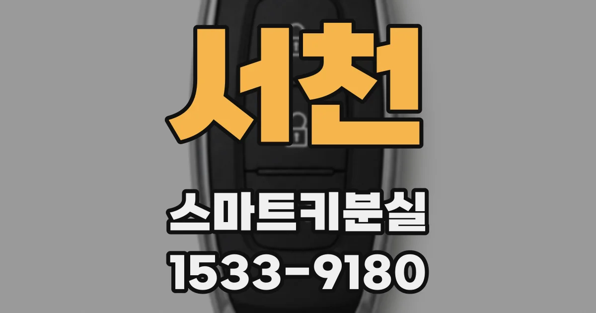 서천 스마트키분실