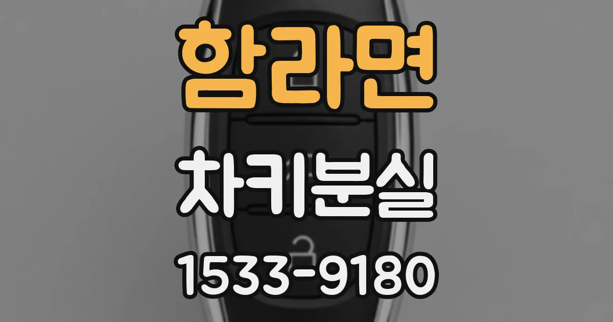 함라면 차키분실