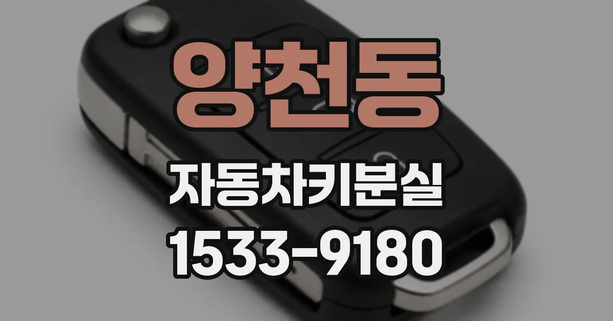양천동 자동차키분실