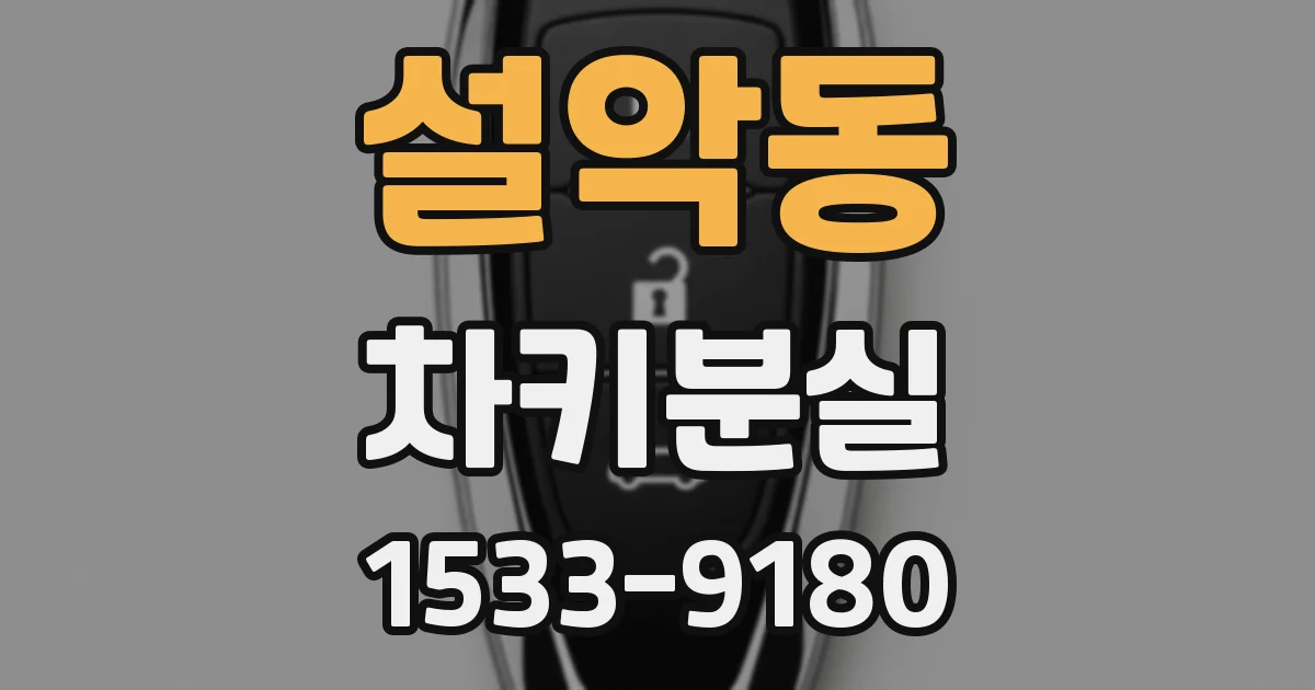 설악동 차키분실