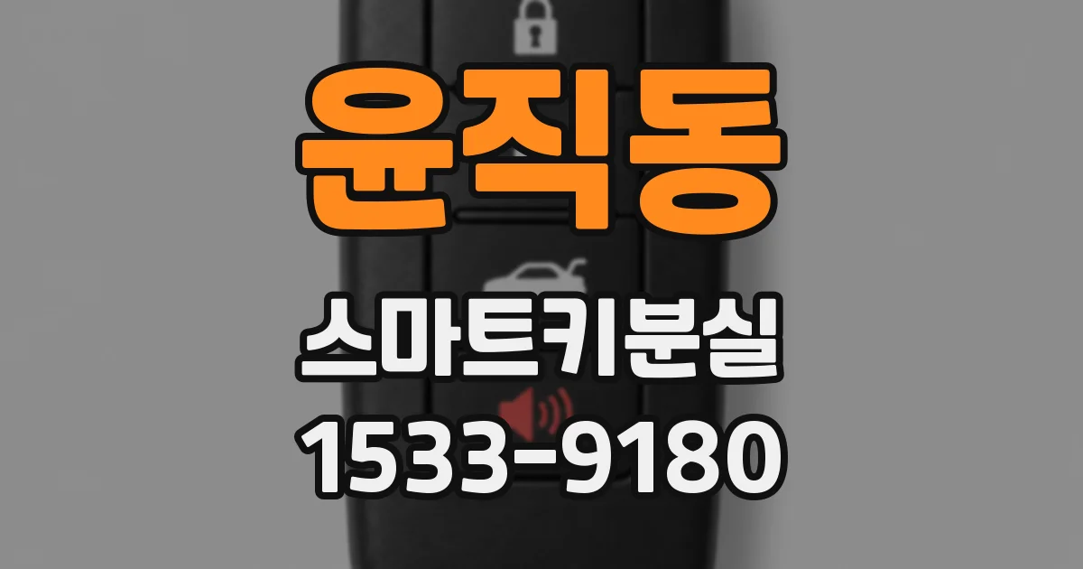 윤직동 스마트키분실