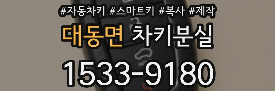 대동면 차키분실