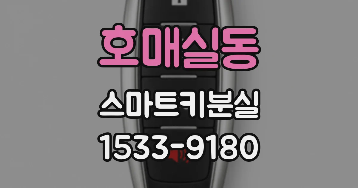 호매실동 스마트키분실