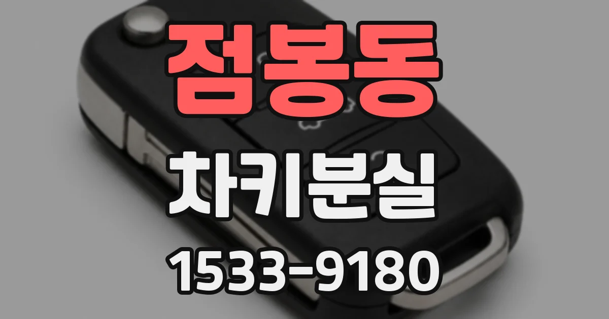 점봉동 차키분실