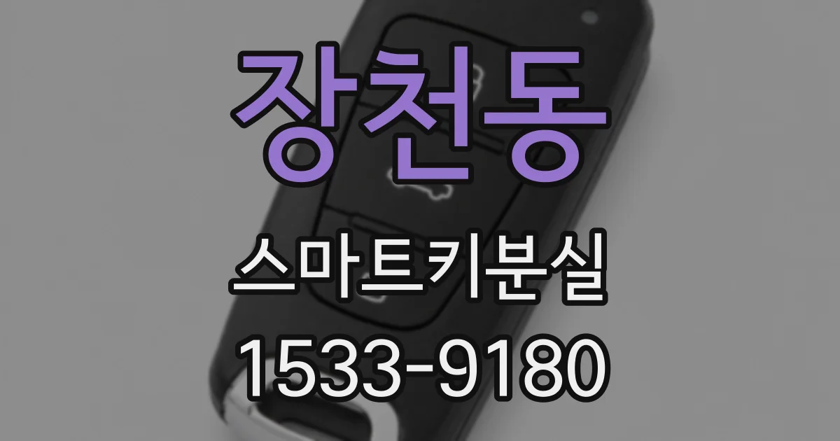 장천동 스마트키분실