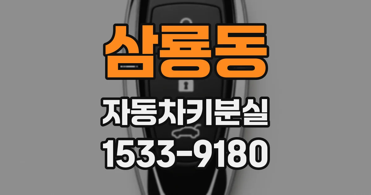 삼룡동 자동차키분실