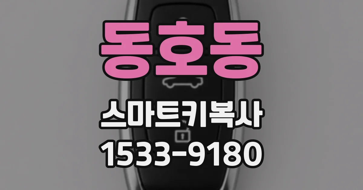 동호동 스마트키복사