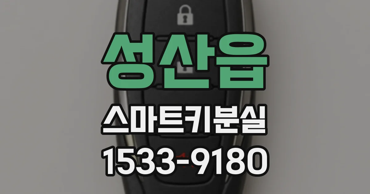 성산읍 스마트키분실