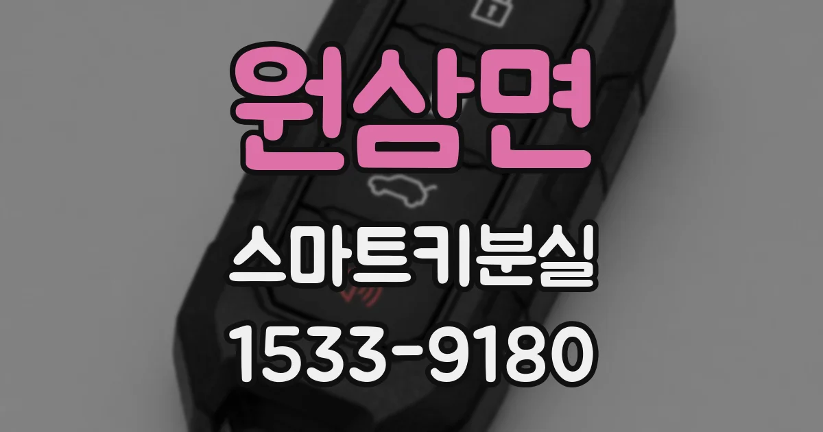 원삼면 스마트키분실