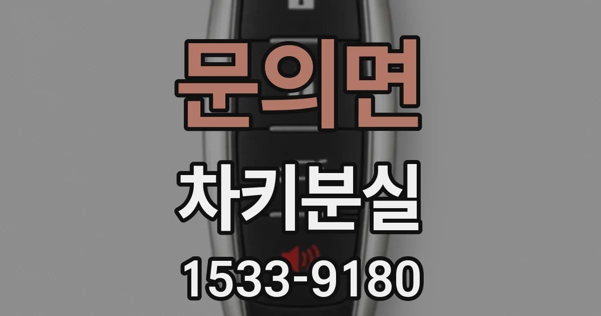 문의면 차키분실