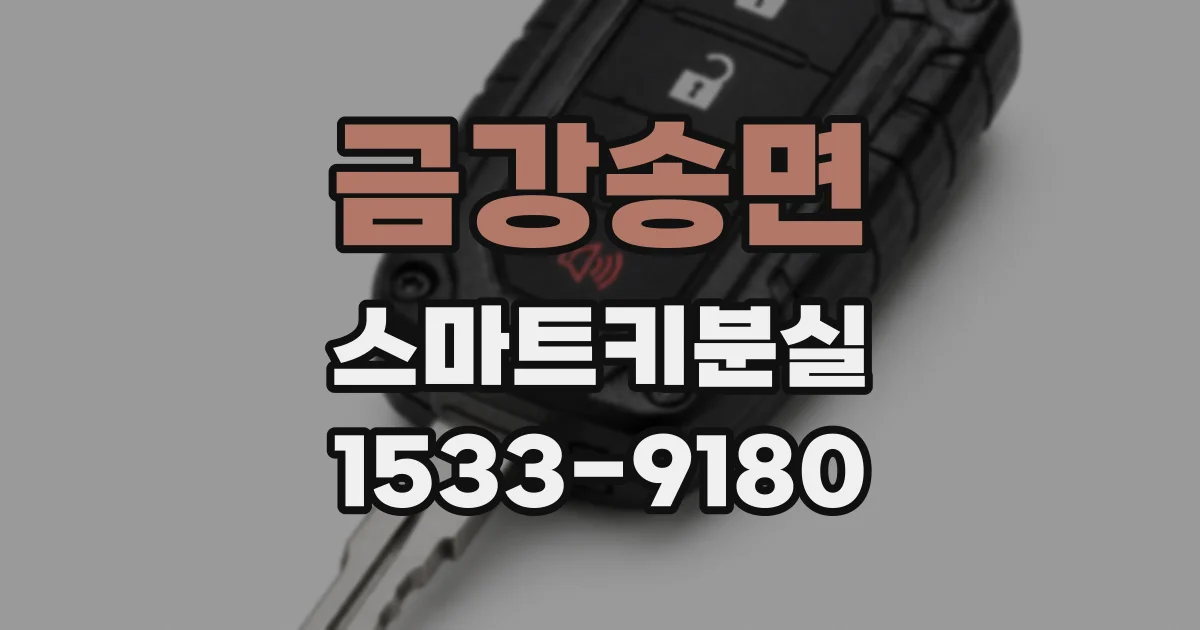금강송면 스마트키분실