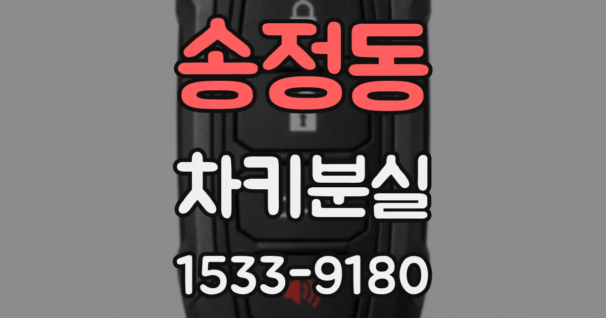 송정동 차키분실