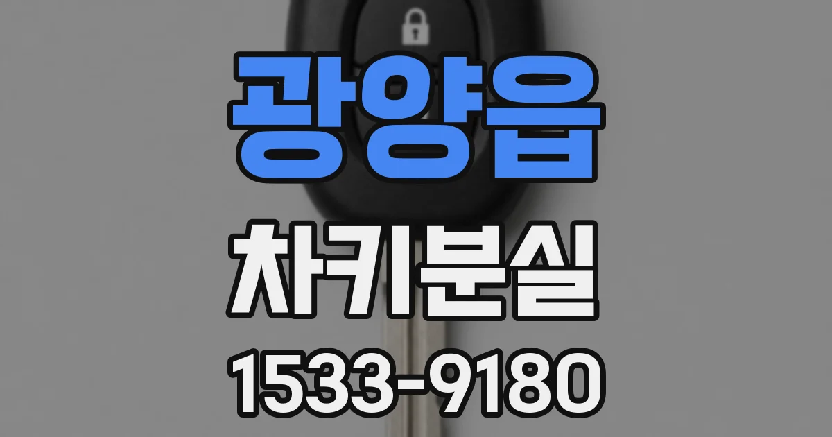 광양읍 차키분실