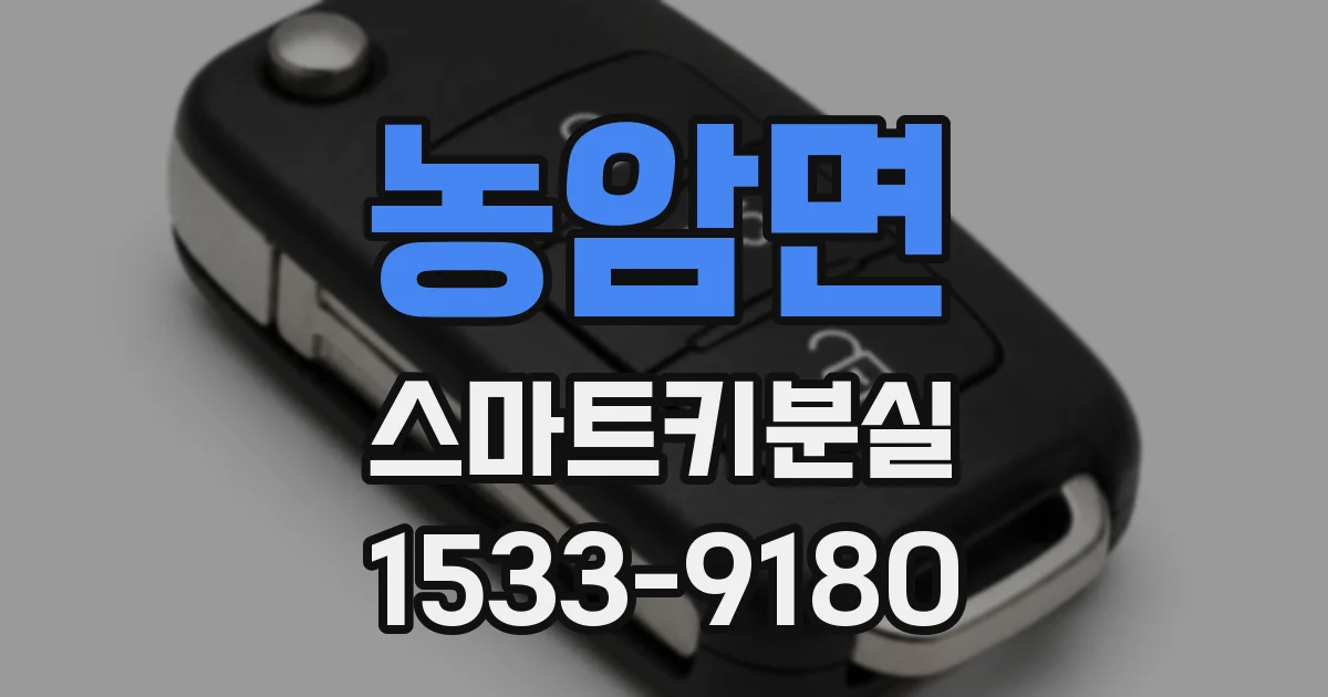농암면 스마트키분실