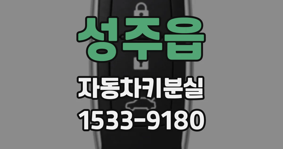 성주읍 자동차키분실